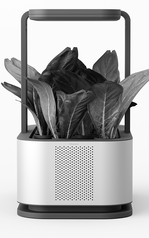 Smart Garden - Sustainable Design