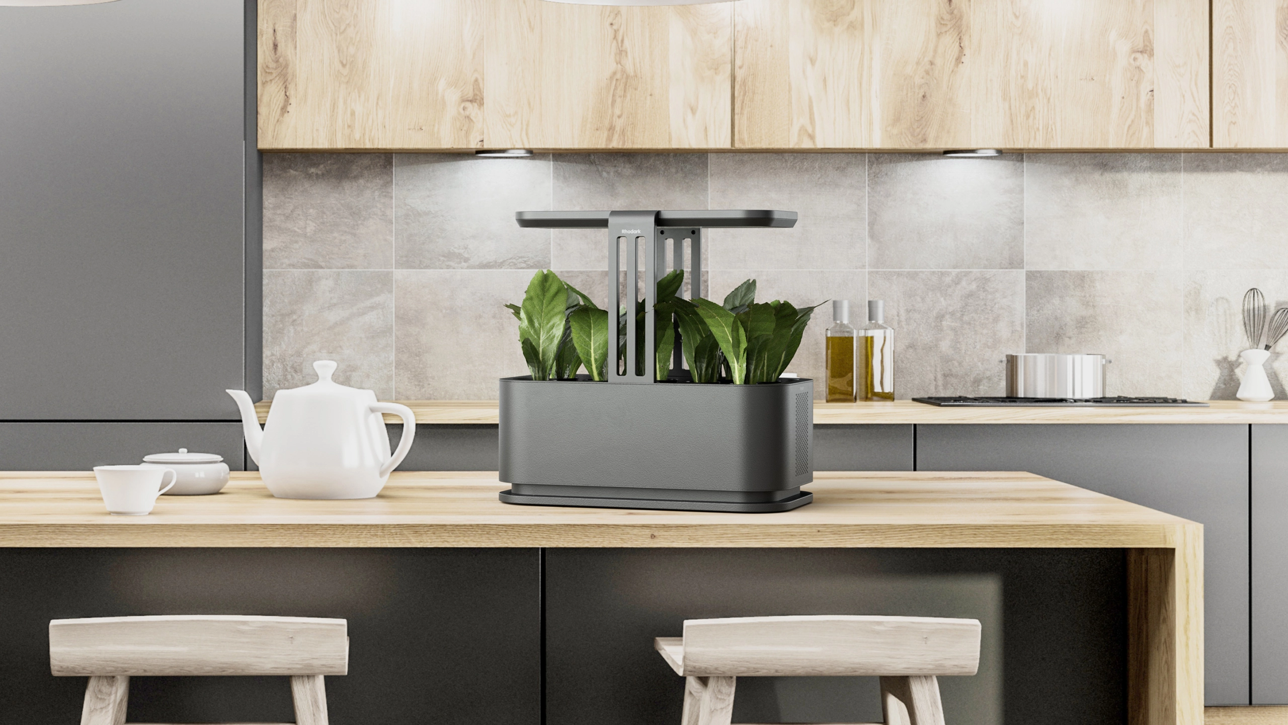 Smart Garden 1